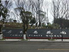 -东莞植物园