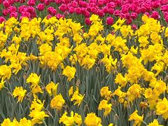 -玄武湖景区-情侣园游乐场