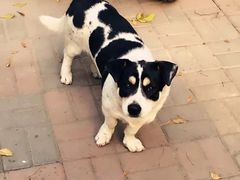 -天津医科大学肿瘤医院(本部院区)