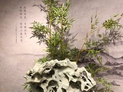 -深圳博物馆(古代艺术馆)