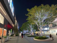 -东莞松山湖万象汇