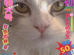 -猫腻·猫咖·撸猫馆(星光大道店)