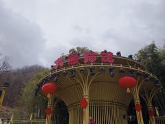 -栾川竹海野生动物园