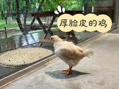 -春风习习