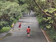 -三水森林公园