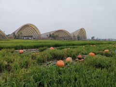 -中国天府农业博览园