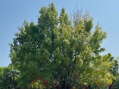 -河源御临门度假村温泉