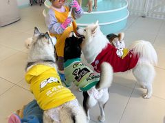 -怪兽屋·羊驼·猫咖·狗咖(俊华广场店)