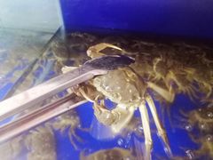 -阳澄湖大闸蟹·琼灵阁牌品牌连锁(吴中总店)