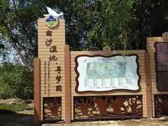 -大湾区中央湿地公园