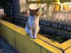 -五进制 Coffee Shop