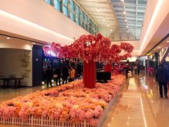 -万达广场(本溪店)