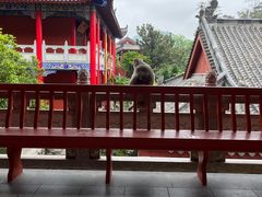 -黔灵山公园