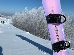 -亚布力新体委滑雪场