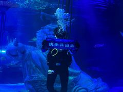 -沈阳海洋探索中心