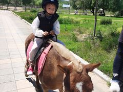 -大连铭湖国际观光牧场