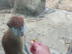 -杭州野生动物世界