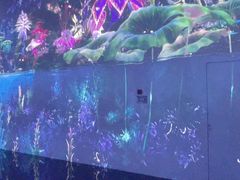 -中国湿地博物馆