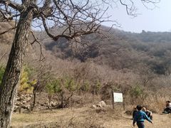 -抱龙峪