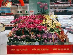 -盒马鲜生(顺义店)
