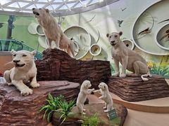 -陕西自然博物馆