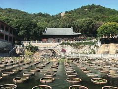 -石峰岩寺