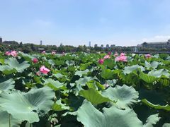 -老赵面店(大西路店)