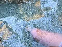 -宁波杭州湾海底温泉