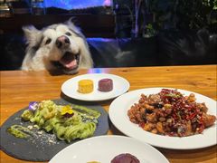 -百好乐宠物友好餐厅(朝外大街店)