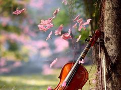 -虾弄弄海派小龙虾·牛羊蝎子火锅