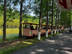 -黄海国家森林公园