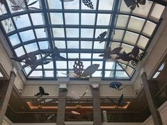 -泰康之家·申园