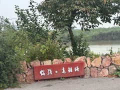 -泗洪洪泽湖湿地景区