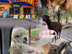 -北京野生动物园