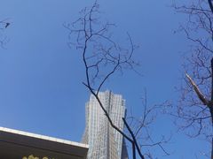 -西湖文化广场