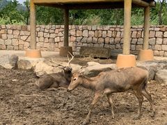 -苏州上方山国家森林公园
