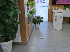 -中国移动(八里庄西里住邦2000营业厅)