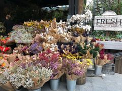 -The Grounds of Alexandria