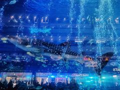 -成都浩海立方海洋公园