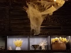 -雪灵魔法世界SHELLY’S TAROT(大良桂畔里店)