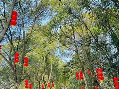 -天台山赤城山景区