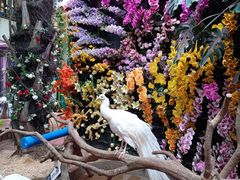 -正佳雨林生态植物园