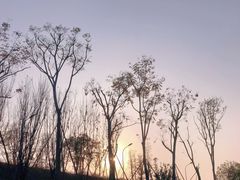 -马栏山视频文创产业园