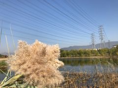 -门城湖公园