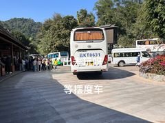 -野象谷景区
