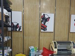 -瑞派名望志远动物医院·猫科·內科·异宠专科(直港大道店)