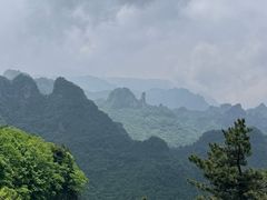 -王莽岭风景区
