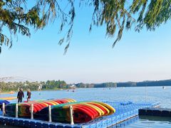 -上海海湾国家森林公园