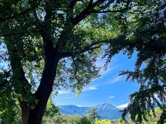 -国家植物园南园