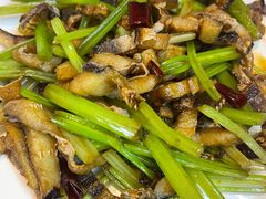 -阿军排档·烧烤